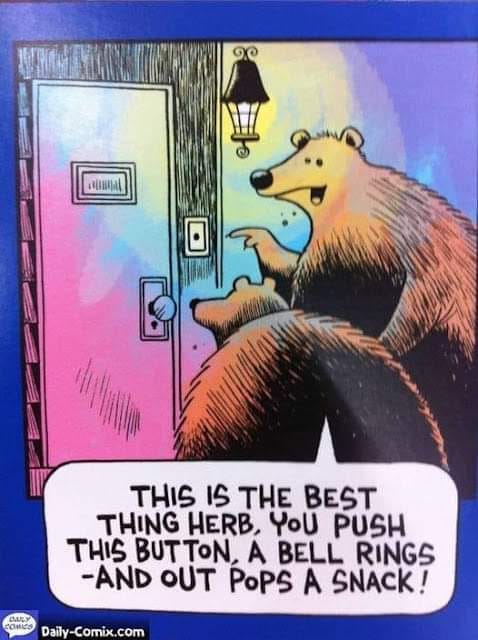 bears