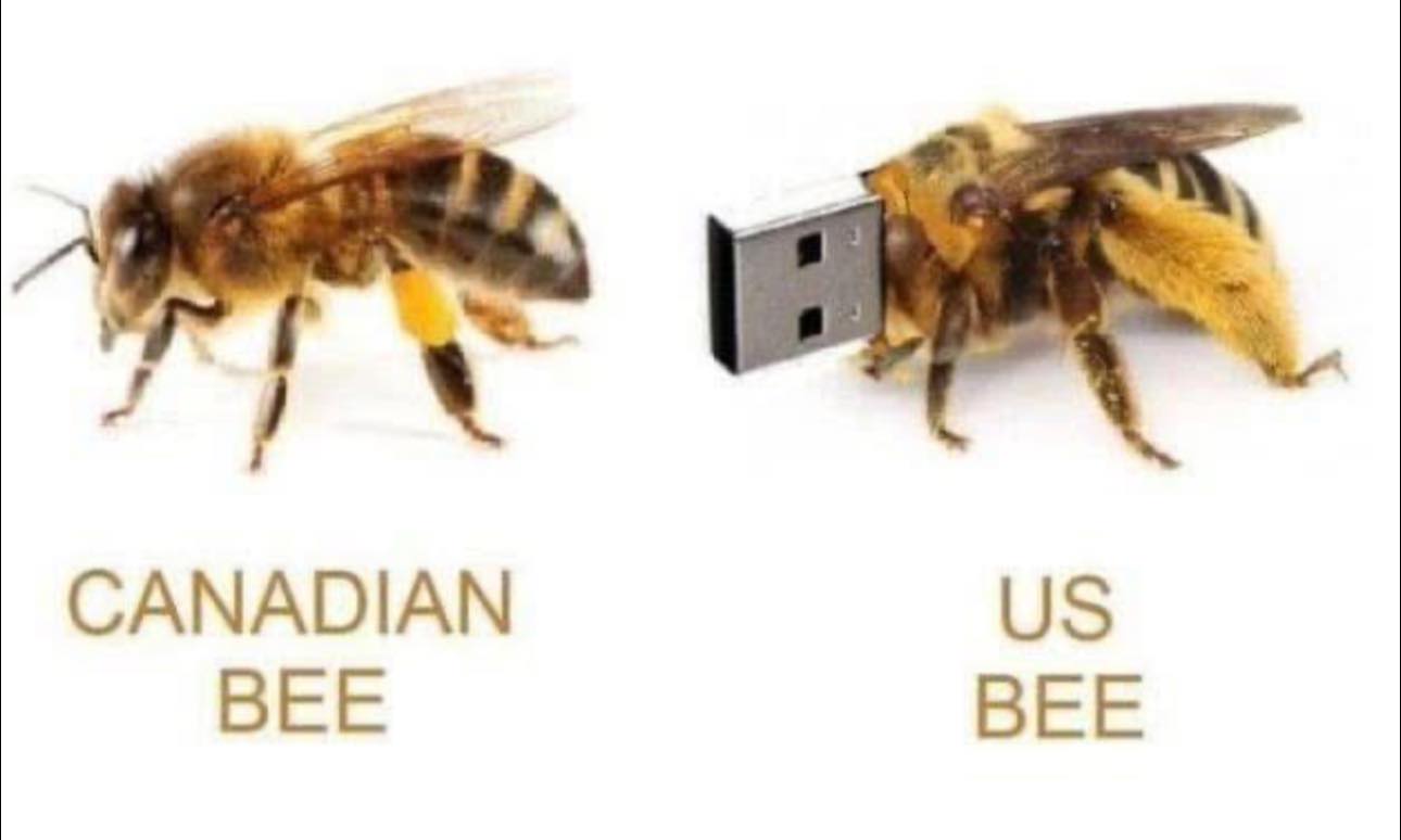 CanadianB
