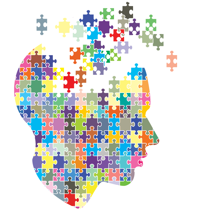 brain puzzlie