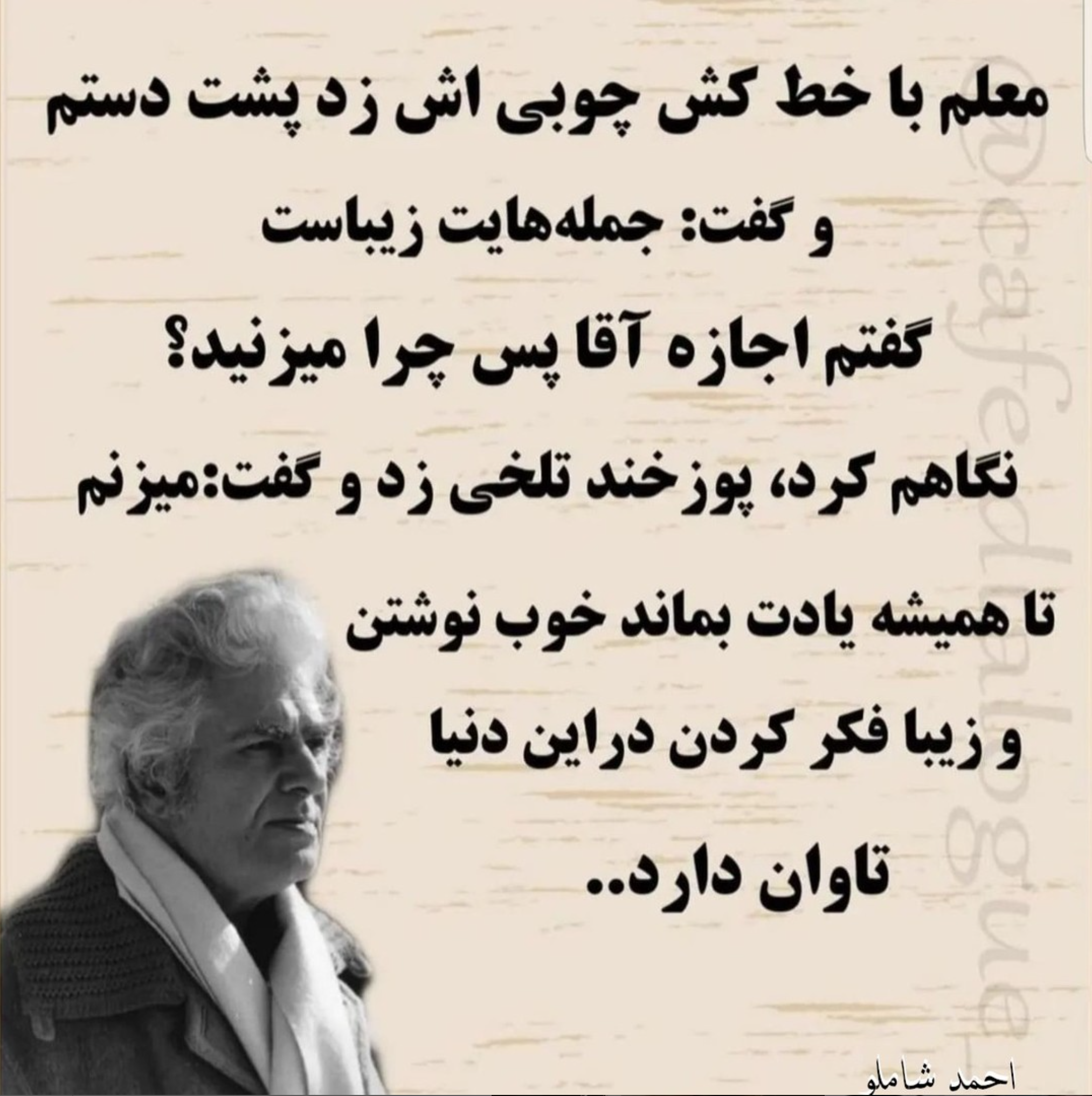 shamloo