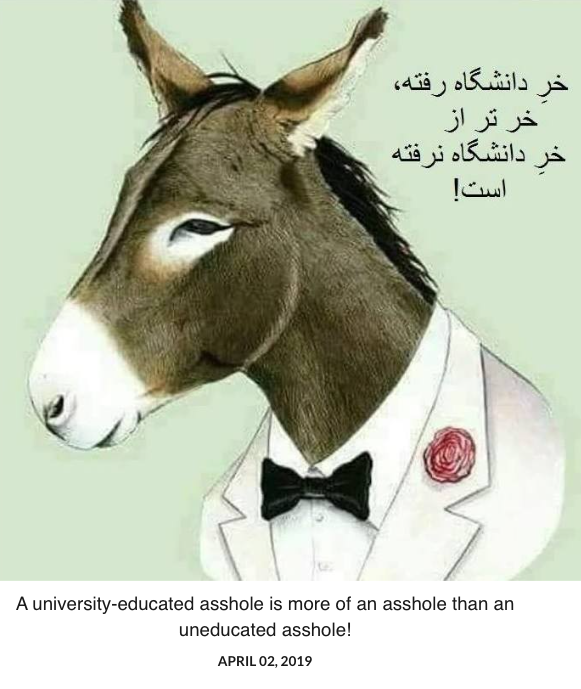 خر دانشگاه رفته